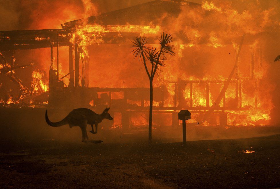 You are currently viewing Six months of sweat and muscle produces $10,000 for National Bushfire Disaster